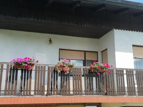 two flower boxes on a balcony with pink flowers at Apartments Novak in Ljubno