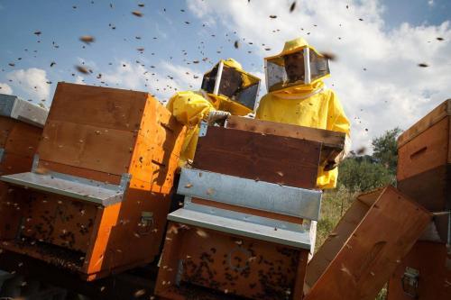 two men in yellow suits standing on a machine with bees at Albergo Diffuso Sotto Le Stelle in Picinisco