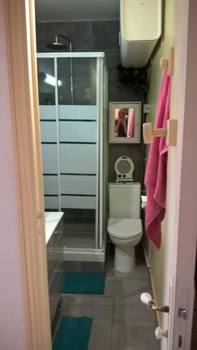 une salle de bain avec toilettes, douche et lavabo dans l'établissement appartement Paris bohème, à Paris