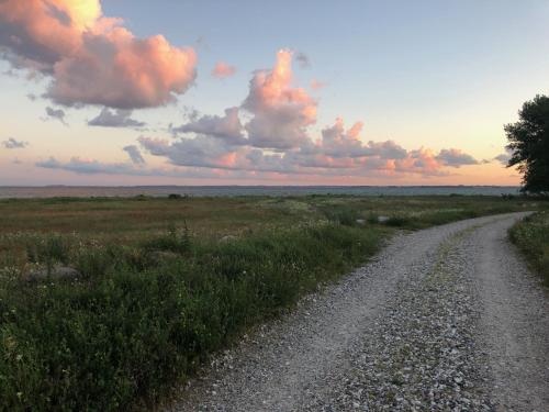 a dirt road in the middle of a field at Lynæs Hotel in Hundested