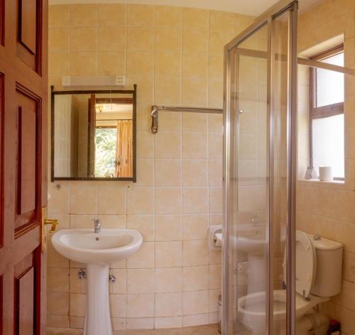 a bathroom with a sink and a toilet and a mirror at Ol-Kine Cottage at The Great Rift Valley Lodge & Golf Resort Naivasha in Naivasha