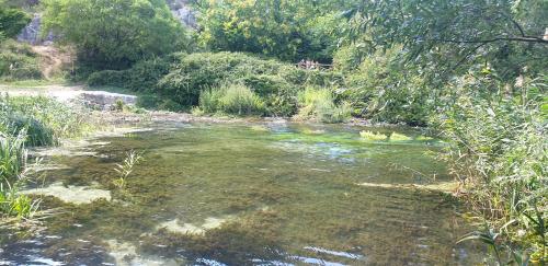a stream of water with grass and trees at Casa Alessandro in Pacentro