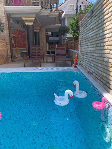 a swimming pool with three swans in the water at Leda Suites in Parga