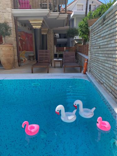 a swimming pool with three rubber ducks in the water at Leda Suites in Parga