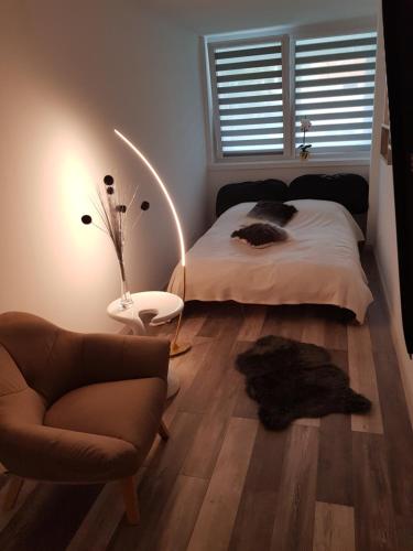 a bedroom with a bed and a chair and a mirror at Dmuchawiec in Jelenia Góra