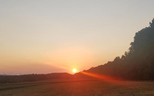 een zonsondergang in een veld met de zon in de lucht bij Hotel Penterknapp in Bramsche