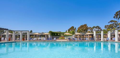 Piscine de l'établissement Hyatt Regency La Jolla at Aventine ou située à proximité