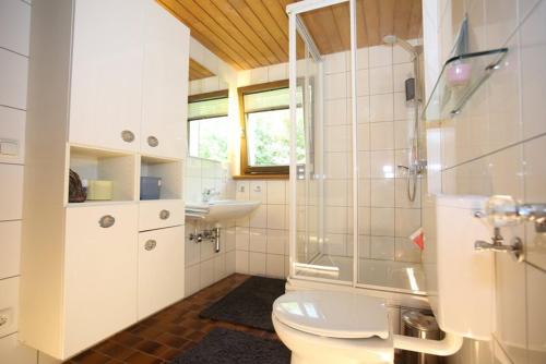 a bathroom with a toilet and a sink at Ferienhaus Winterstaude in Großdorf