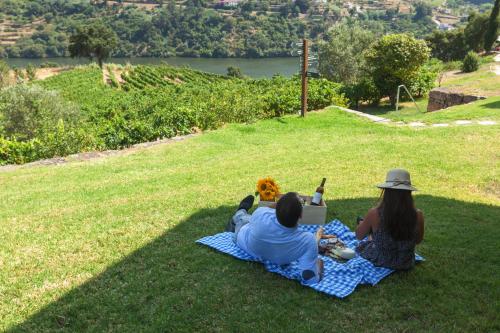 two people sitting on a blanket on the grass with a laptop at Douro Palace Hotel Resort & SPA in Baião