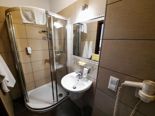 a small bathroom with a sink and a shower at Aneks Hotelu Kazimierz in Krakow