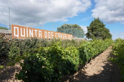 a sign in the middle of a field of vines at Quinta Dos Carvalhos in Vilarinho de Agrochão