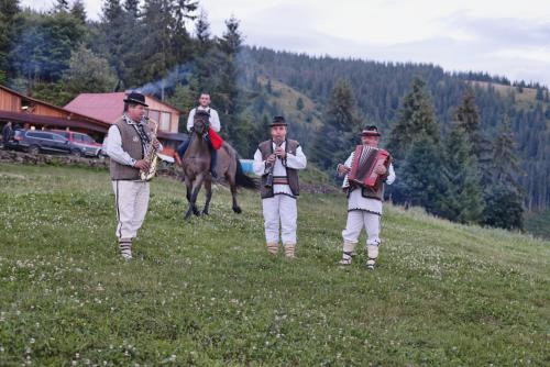 Eine Gruppe von Männern, die mit einem Pferd auf einem Feld stehen in der Unterkunft Cabana Virful Muntelui in Câmpeni