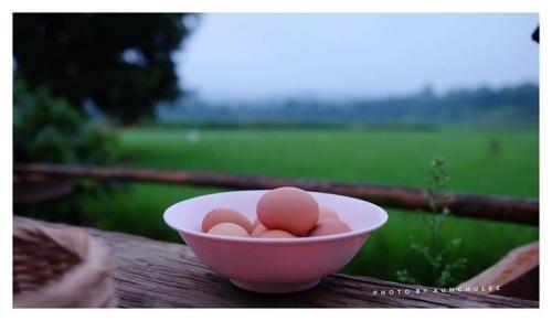 a pink bowl of eggs sitting on a wooden table at Wanmai Farm Stay Muangkong วันใหม่ฟาร์มสเตย์ เมืองคอง เชียงดาว in Ban Yang Nong Bua