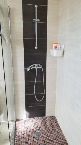 een douche met een douchekop in een badkamer bij Maison le Havre de la Gachère, 2 chambres, 2 salles d'eau, parking privé et jardin in Brem-Sur-Mer