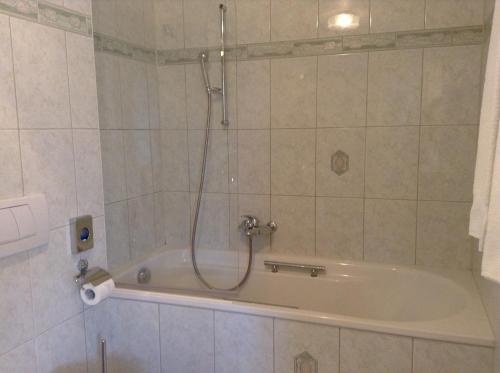 a bath tub with a shower in a bathroom at Hôtel Restaurant le Gruyérien in Morlon