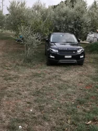 a black car is parked in a field at Romey Iikka in Pula