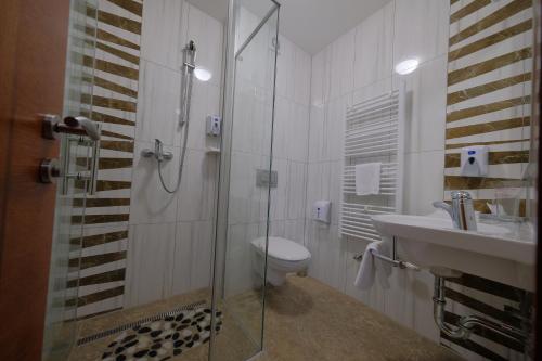 e bagno con doccia, servizi igienici e lavandino. di Motel Mujanic Sarajevo a Sarajevo