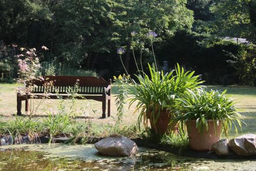 a bench in a park next to a pond with plants at Villa Elisenruh in Schmalfeld