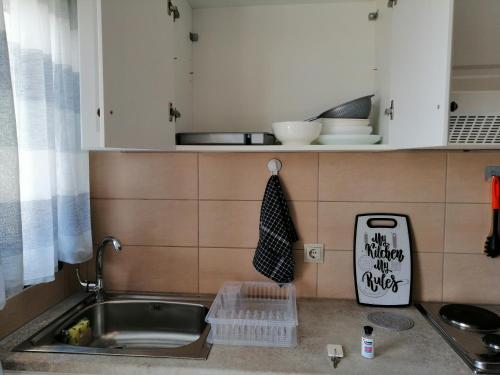 um balcão de cozinha com um lavatório e uma máquina de lavar louça em TA DIDYMAKIA APARTMENTS. em Argostoli