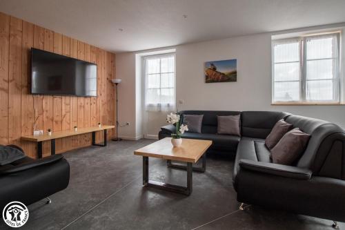 un salon avec un canapé et une télévision dans l'établissement Gîte de Granit GRIS, à Besse-et-Saint-Anastaise