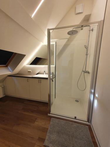um chuveiro com uma porta de vidro na casa de banho em Brussels North - Pajot Apartments em Wemmel