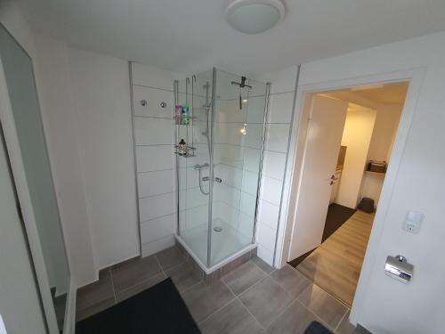 ein Badezimmer mit einer Dusche und einem Glasgehege in der Unterkunft Ferienhaus an der Bergmühle in Flensburg