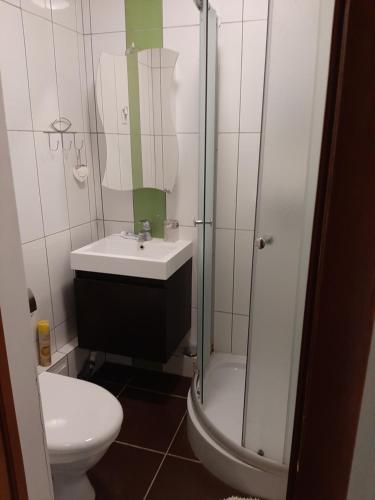 a bathroom with a shower and a sink and a toilet at Holiday Apartment in Liepāja