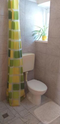 a bathroom with a toilet and a shower curtain at Relax in Črni Kal in Črni Kal