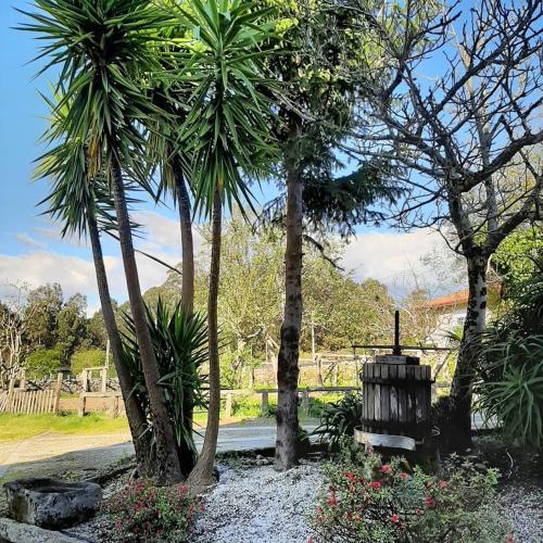 a garden with two palm trees and a trash can at Os Areeiros Turismo Rural & Bodega in Santa Cristina de Cobres