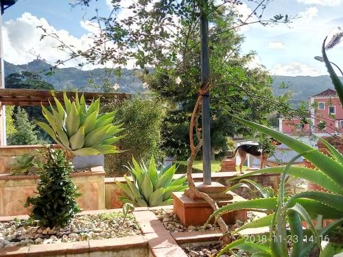 a garden with succulents and plants on a balcony at Casa de Santo Amaro in Sintra