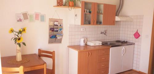 a small kitchen with a table and a sink at Relax in Črni Kal in Črni Kal