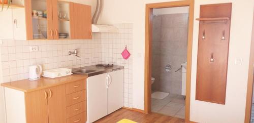a small kitchen with a sink and a shower at Relax in Črni Kal in Črni Kal