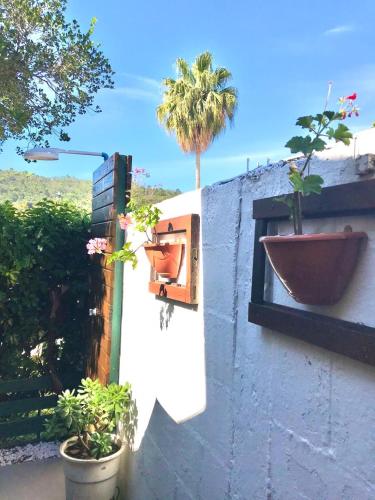 a window with two potted plants on a wall at Casa Chale 10 Florianópolis in Florianópolis