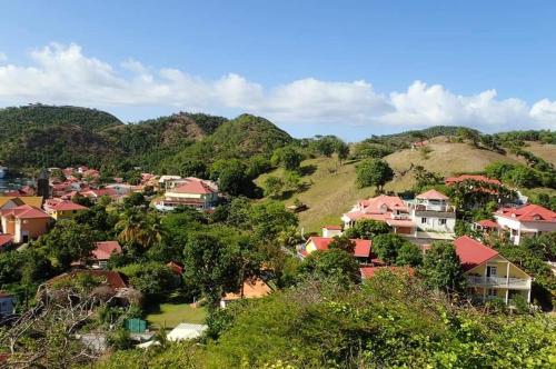 a village on a hill with houses and trees at STUDIO Grande Anse 4 pers - proche centre in Terre-de-Haut