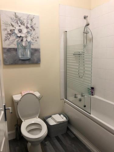 uma casa de banho com um WC e uma cabina de duche em vidro. em The Station Apartment em Kilmarnock