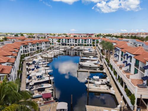 a group of boats docked in a marina at Naples Bay Resort and Marina in Naples