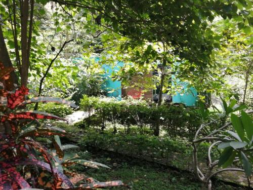 a garden with trees and bushes and a blue building at Casa Rural Aroma de Campo in Curubandé