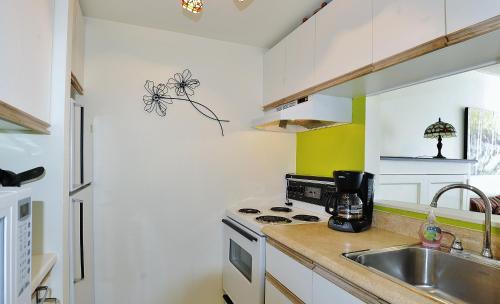 een keuken met een wastafel en een fornuis bij 22#32 Chemin du Hameau - Studio in Stoneham