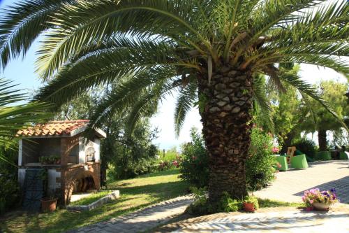 a palm tree in a yard next to a house at La Panoramica Country House in San Benedetto del Tronto