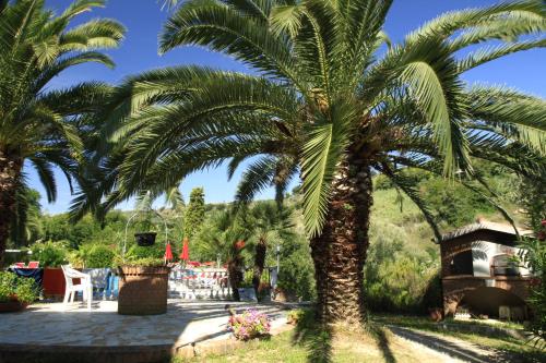 a group of palm trees in a yard at La Panoramica Country House in San Benedetto del Tronto