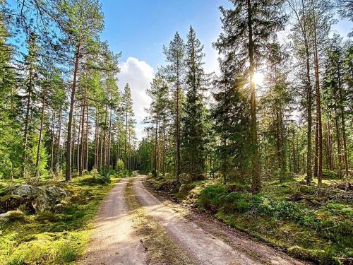 a dirt road in the middle of a forest at 10 person holiday home in SKILLINGARYD in Skillingaryd