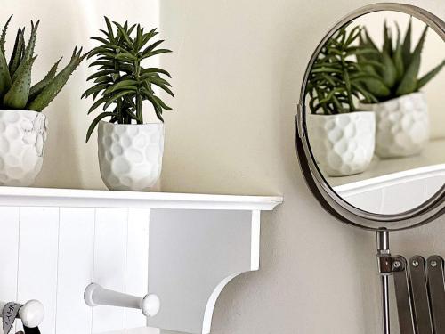 a mirror on a shelf with potted plants at 10 person holiday home in SKILLINGARYD in Skillingaryd