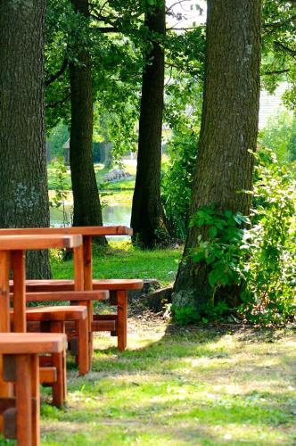 two wooden benches in a park with trees at Hotel Leopold Račín in Račín