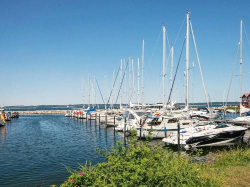 a group of boats docked at a dock in the water at 6 person holiday home in Ebeltoft in Ebeltoft