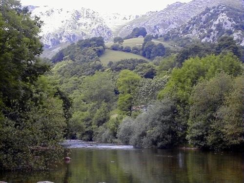 a river in a valley with trees and a mountain at Apto Valle Encantado, Piscina y Vistas, TU ESCAPADA PERFECTA in Gibaja