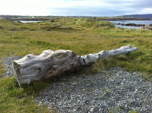 Photo de la galerie de l'établissement Teach Donncadh B&B, à Kincasslagh