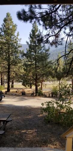a picnic table in a park with trees in the background at Mountain View Cabins in Wrightwood