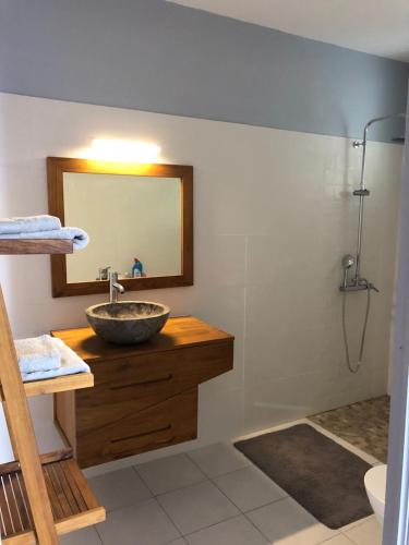 uma casa de banho com um lavatório, um espelho e um chuveiro em Mawima em Vieux-Habitants