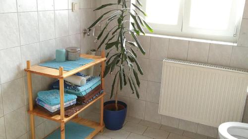 a bathroom with a plant and a shelf with towels at Ferienwohnung Steinwald Ausläufer mit Blick auf Kösseine in Waldershof