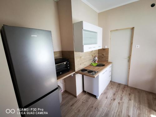 Kuchyň nebo kuchyňský kout v ubytování Renáta Apartman